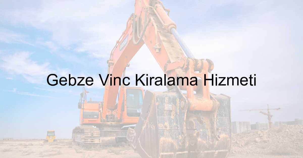 Gebze Vinç Kiralama Hizmeti